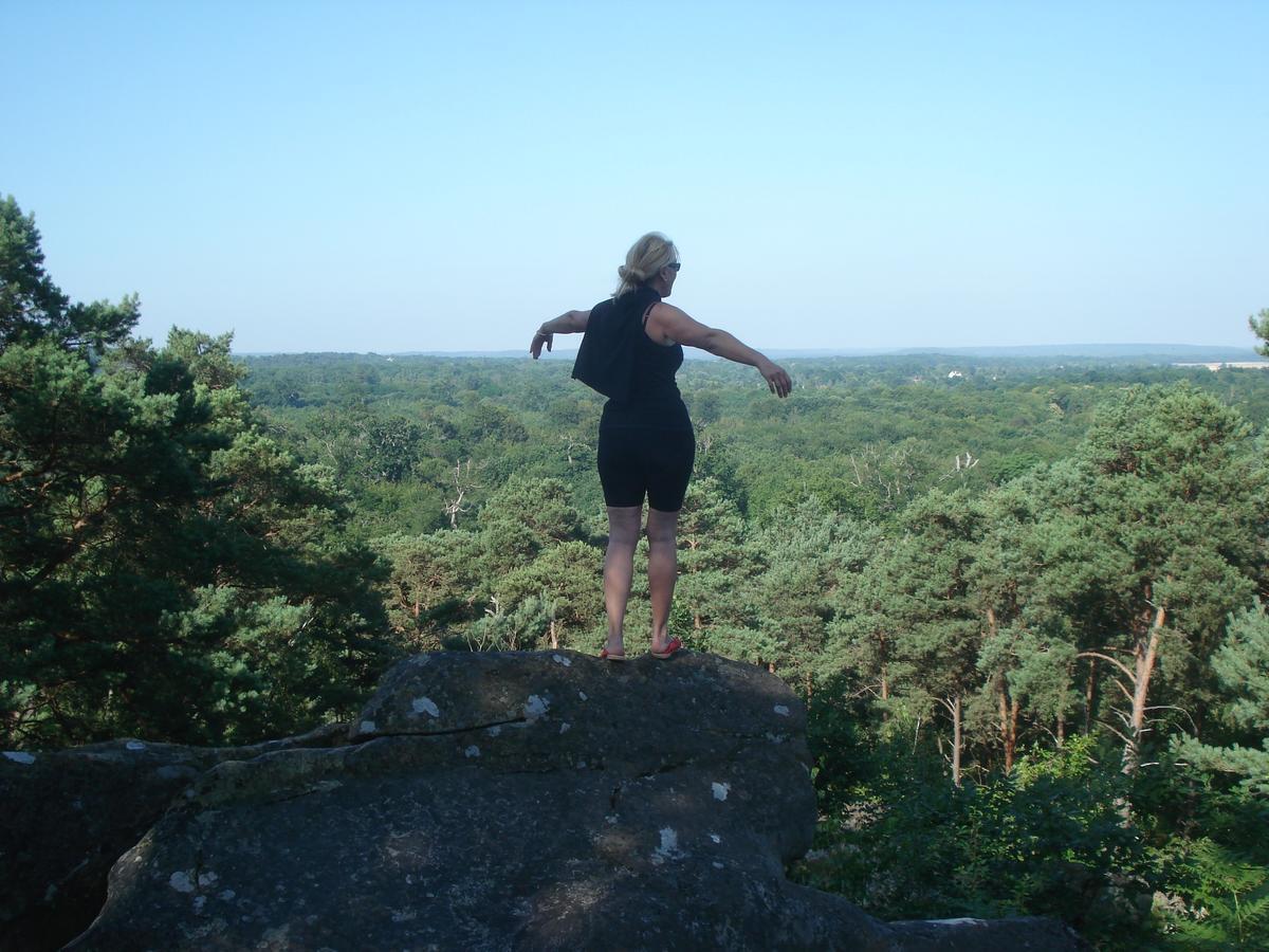 Les Premices De La Foret Chailly-en-Biere Exteriör bild