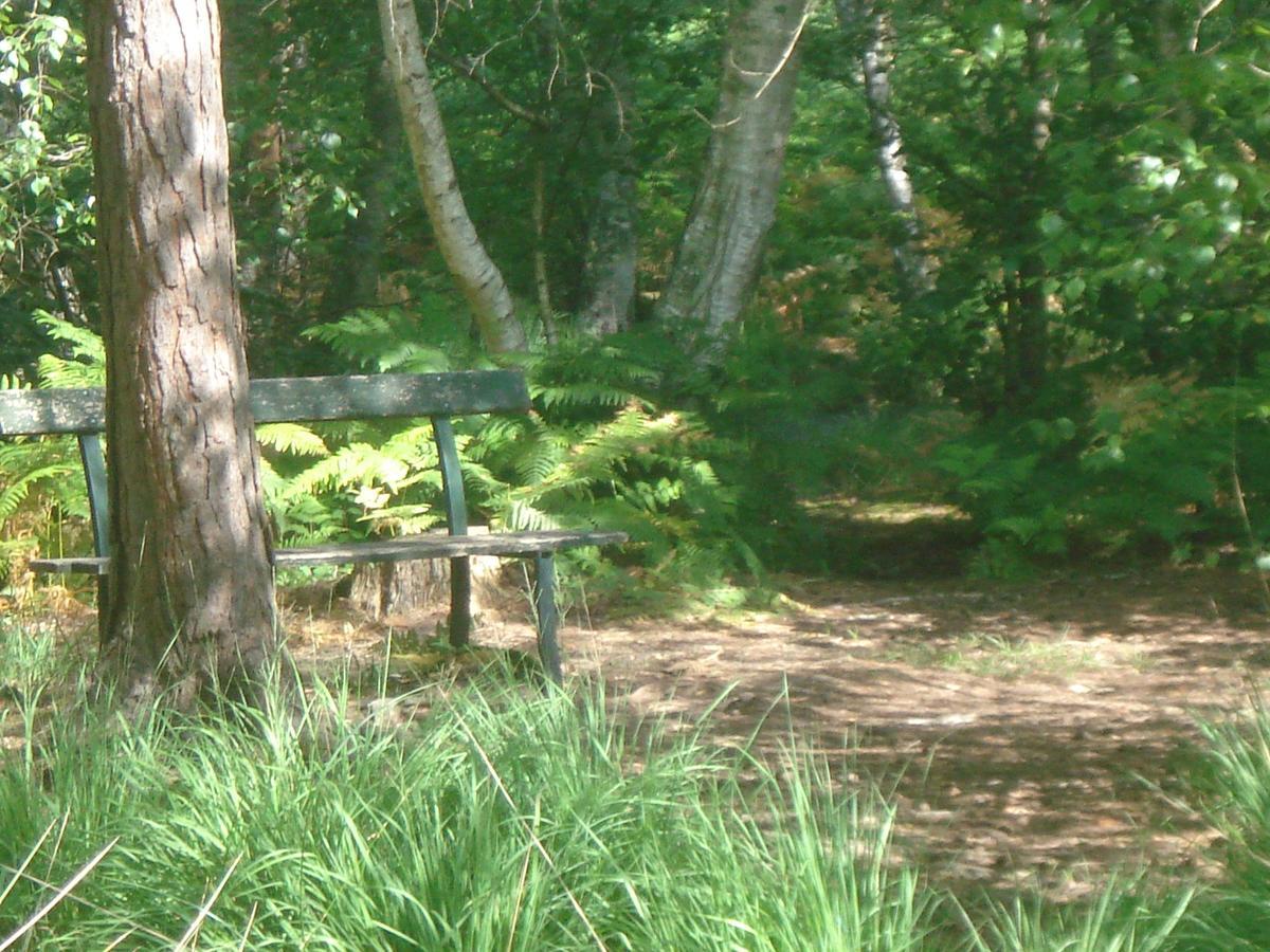Les Premices De La Foret Chailly-en-Biere Exteriör bild