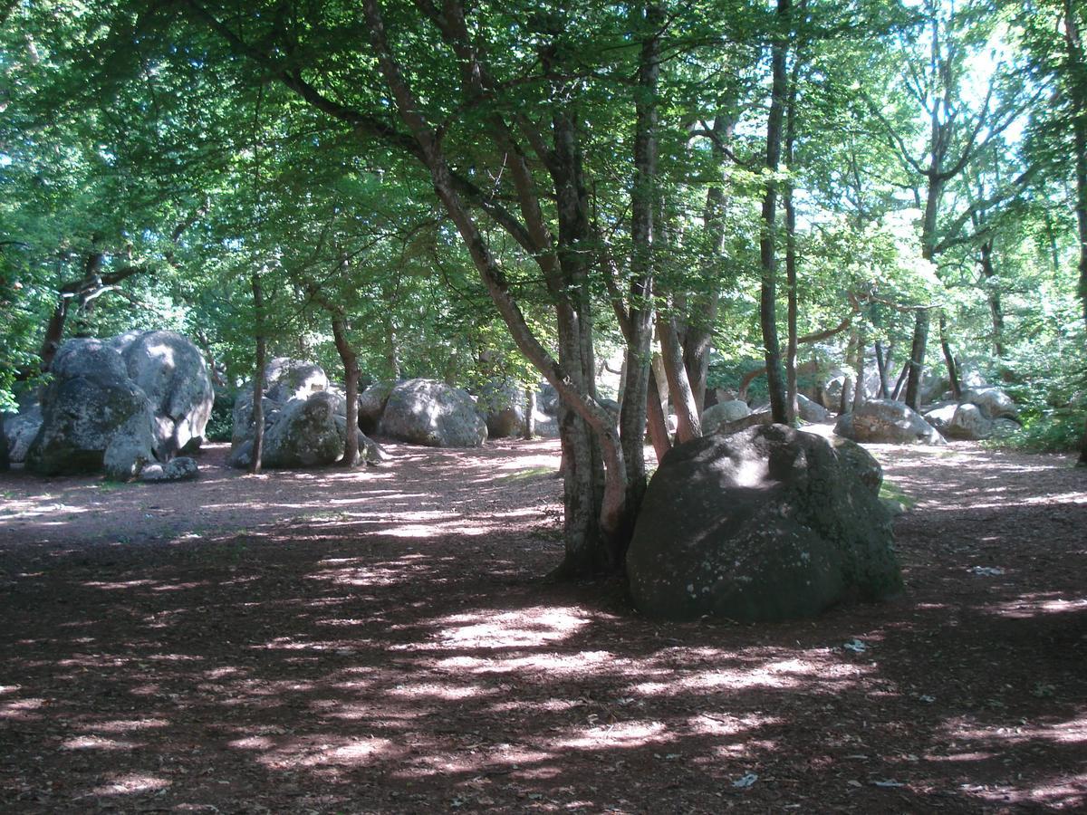 Les Premices De La Foret Chailly-en-Biere Exteriör bild