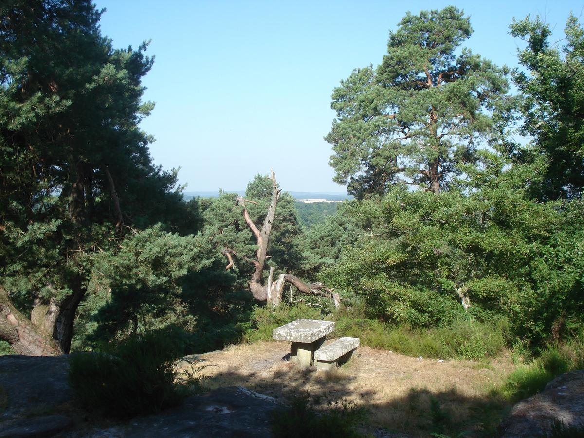 Les Premices De La Foret Chailly-en-Biere Exteriör bild