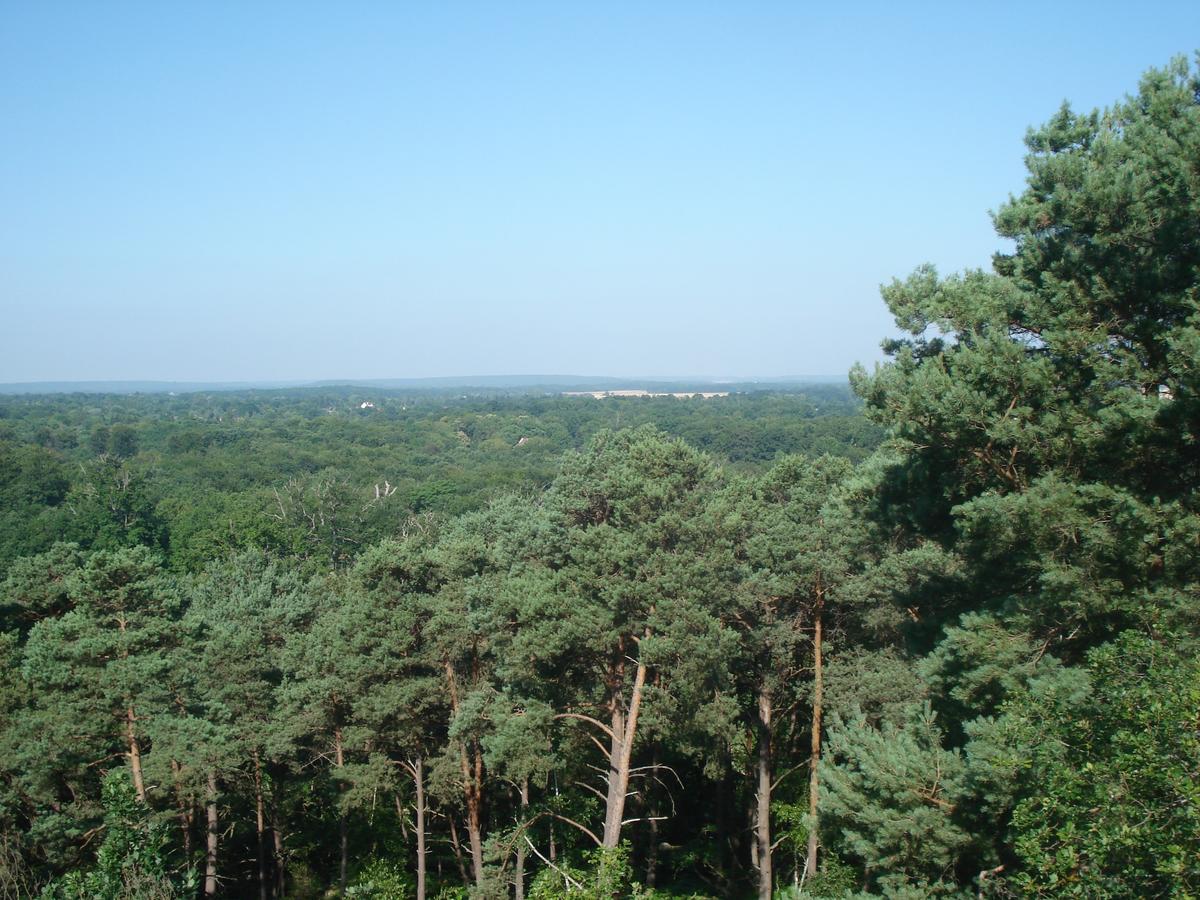 Les Premices De La Foret Chailly-en-Biere Exteriör bild