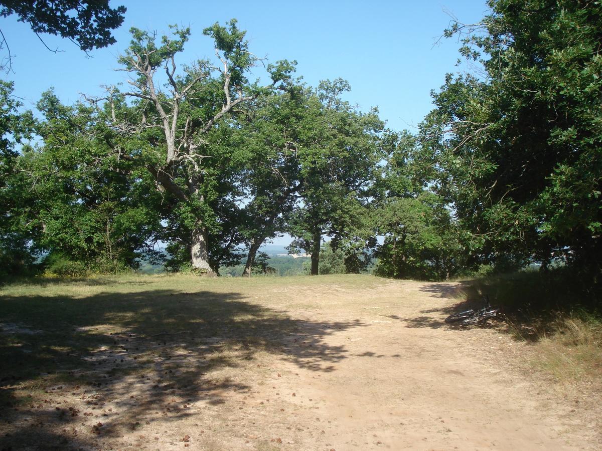 Les Premices De La Foret Chailly-en-Biere Exteriör bild